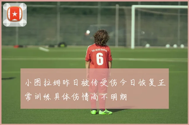 小图拉姆昨日被传受伤今日恢复正常训练具体伤情尚不明朗