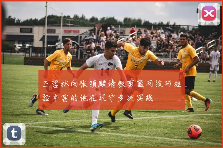 王哲林向张镇麟请教剪篮网技巧经验丰富的他在辽宁多次实践